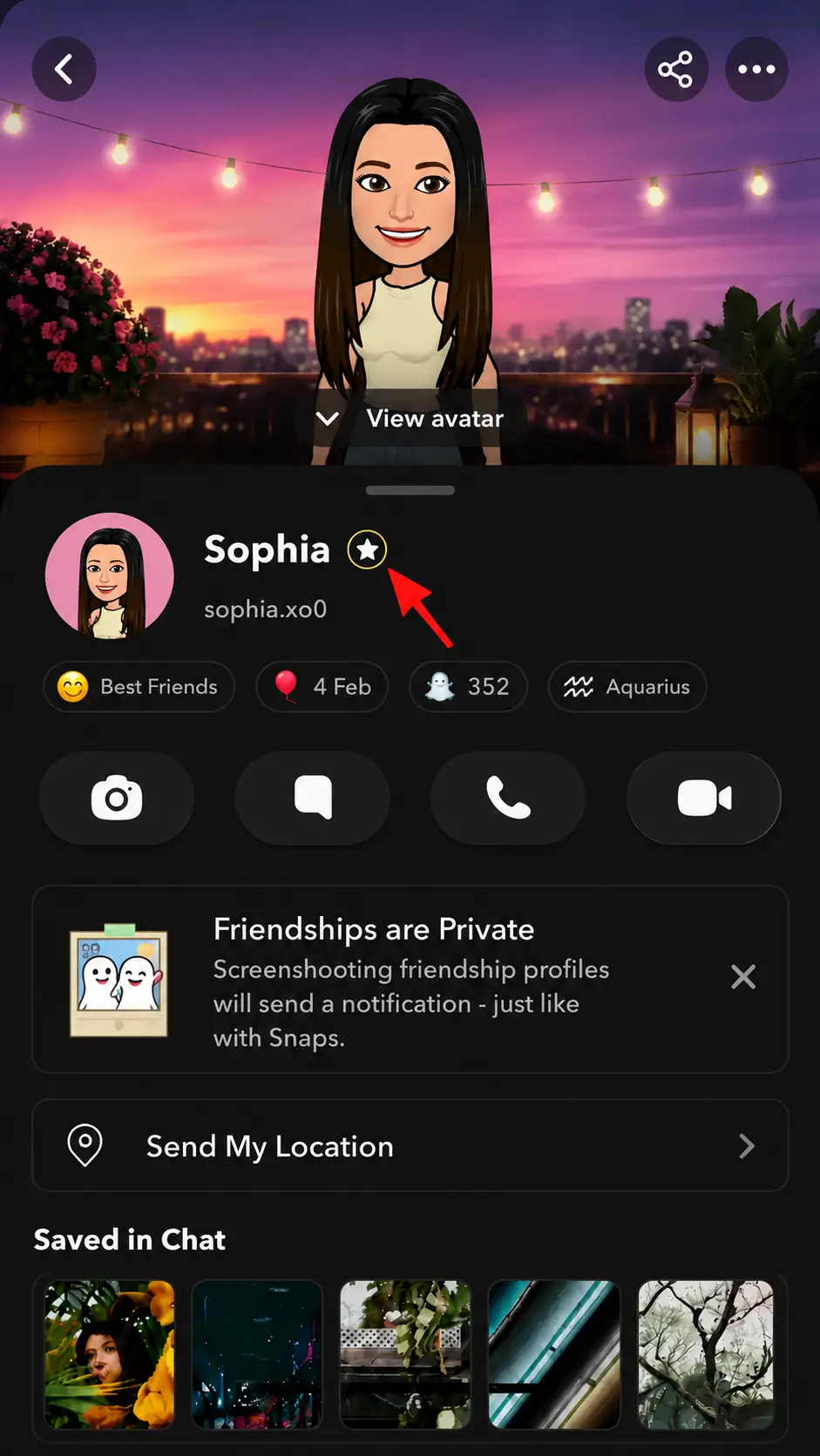How to tell if someone has Snapchat Plus: a black star badge appears next to the display name on the Snapchat profile.